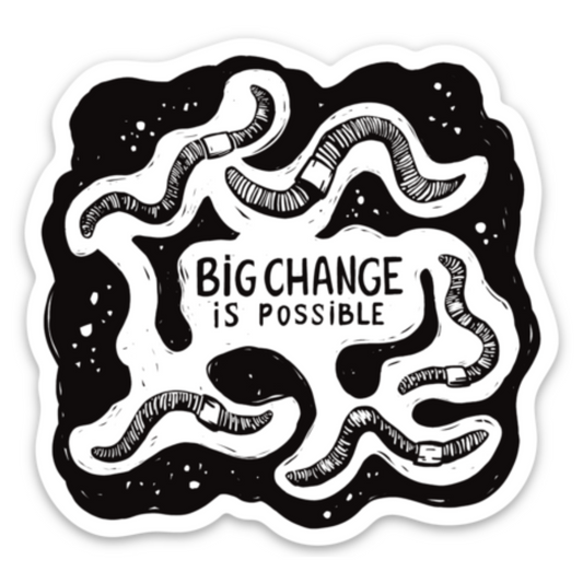 Big Change is Possible Sticker